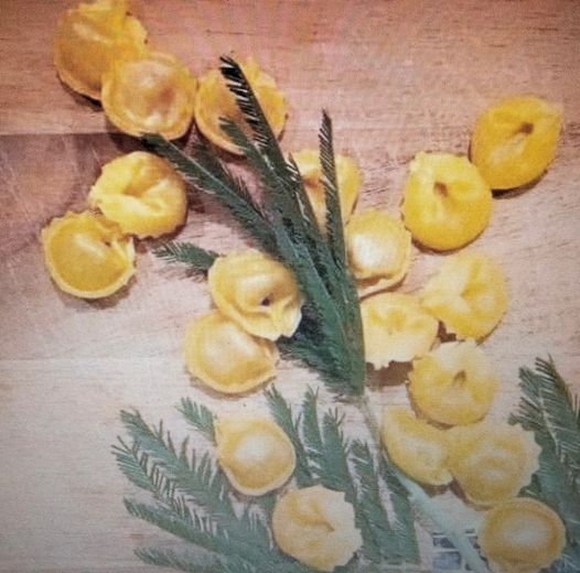 La mia mimosa è differente