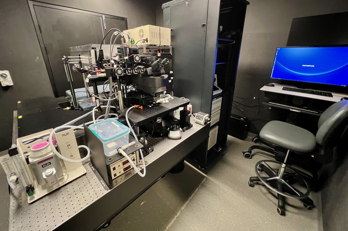 Congratulations to <a href="/LabPhan/">Phan Lab</a> and collaborators, including multiple users of our INCITe centre. 
Here you can see the two upright #multiphoton #microscopes - Susie <a href="/zeiss_micro/">ZEISS Microscopy</a> and Quatro #olympus- used in their #intravital #imaging work. 
<a href="/GarvanInstitute/">Garvan Institute of Medical Research</a>
cell.com/cell/fulltext/…