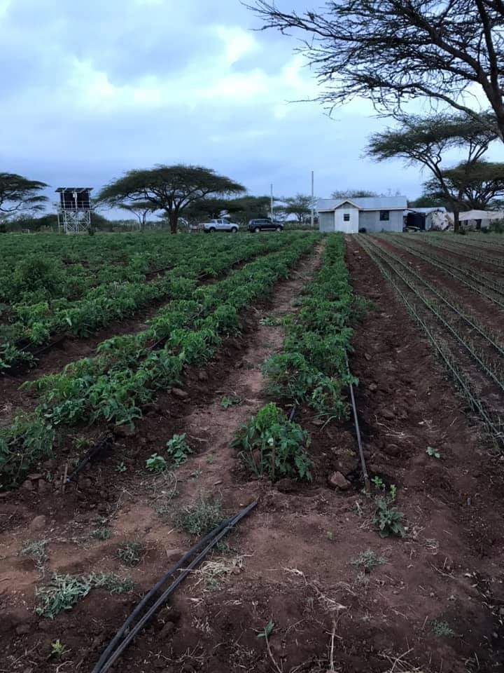 OWN REAL ESTATE NOW on Twitter "Very attractive 10 Acres of