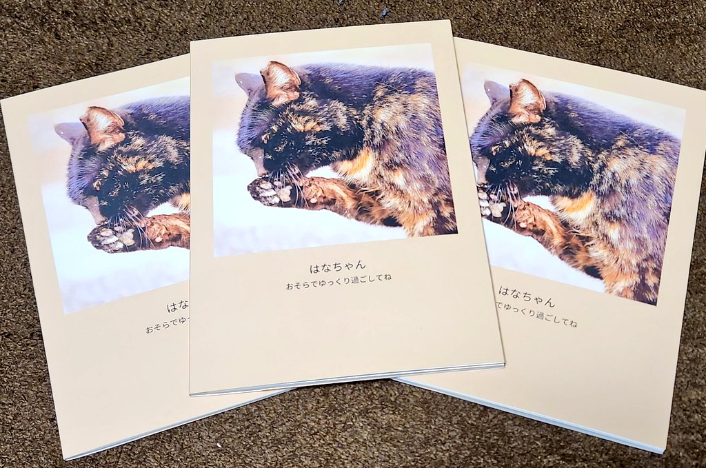 初めて作ってみた写真集が今届きました。亡くなった、はなちゃんの写真がほしいって、いつもエサをあげているお母さんに言われていたので渡そうかと思って作りました。こうして撮った写真が形になると嬉しい気持ちになるんですね。
喜んでもらえるといいな

#ねこ　#猫　#猫好きさんと繋がりがりたい