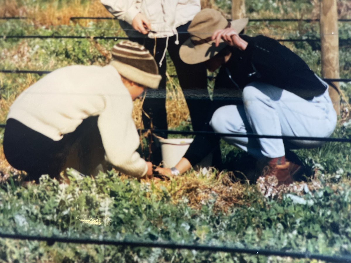 Happy International Women’s Day to the women (literally) behind our wines. 

Elizabeth and Judi in 1988 on Isolation Ridge Vineyard with vines less than a year old.

#iwd2023 #iwd #womeninwine #certifiedorganic #greatsouthern #wine #InternationalWomenDay