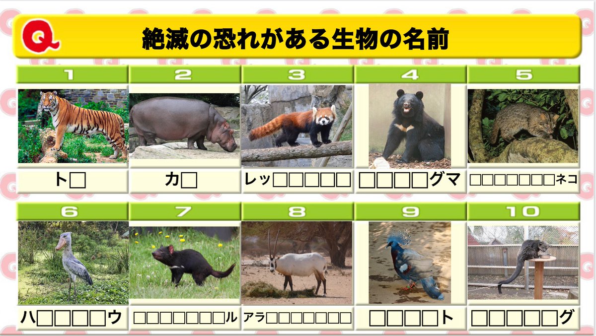 Qさま風 Qさま風