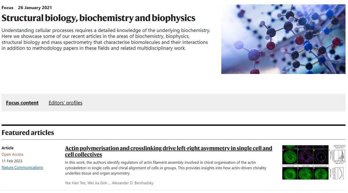 Mechanobiology Institute tweet media