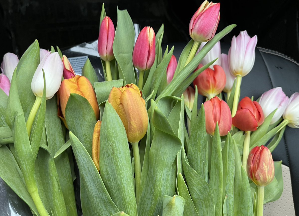 С праздником девушки! 😉🙂