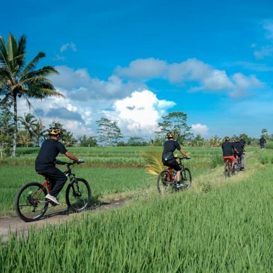 Looking for an adventurous way to explore Bali's stunning countryside? Look no further than the Bali Ubud Bike Tour! 

#baliubudbiketour #adventureawaits #explorebali #cyclingadventures #indonesiatravel