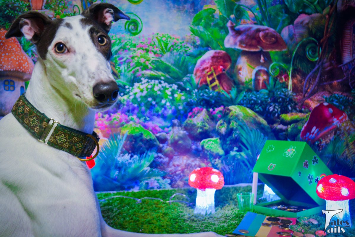 It's A Trap!

<a data-flickr-embed="true" href="flickr.com/photos/houndst…" title="It&amp;#x27;s A Trap"><img src="live.staticflickr.com/65535/52729210…" width="640" height="427" alt="It&amp;#x27;s A Trap"></a><script async src="//embedr.flickr.com/assets/client-code.js" charset="utf-8"></script>