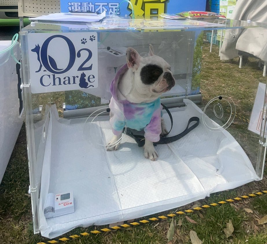ペット用酸素室｜オーツーペット (@o2pet) / Posts / X