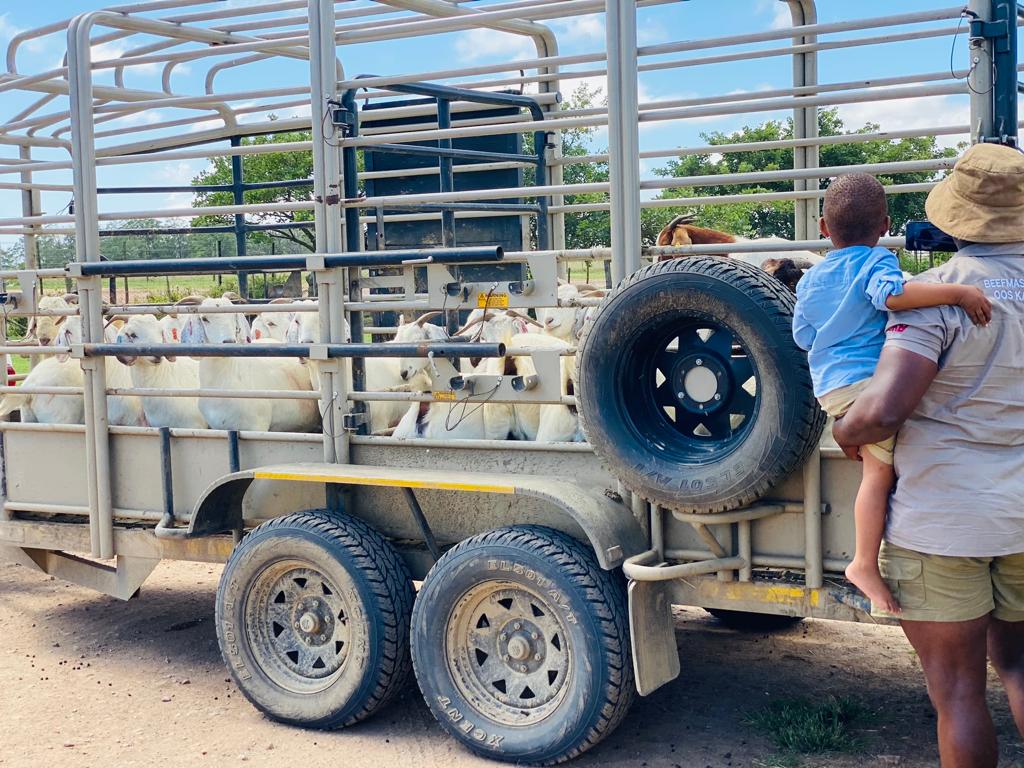 Ndumiso Gule (@ndumisogule1) on Twitter photo 