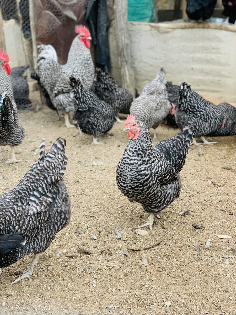 terrymap1's tweet image. Morning shots 📸📷 The hustle😊🙏🏿