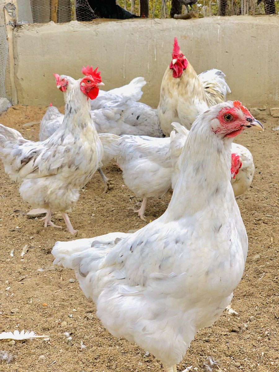 terrymap1's tweet image. Morning shots 📸📷 The hustle😊🙏🏿