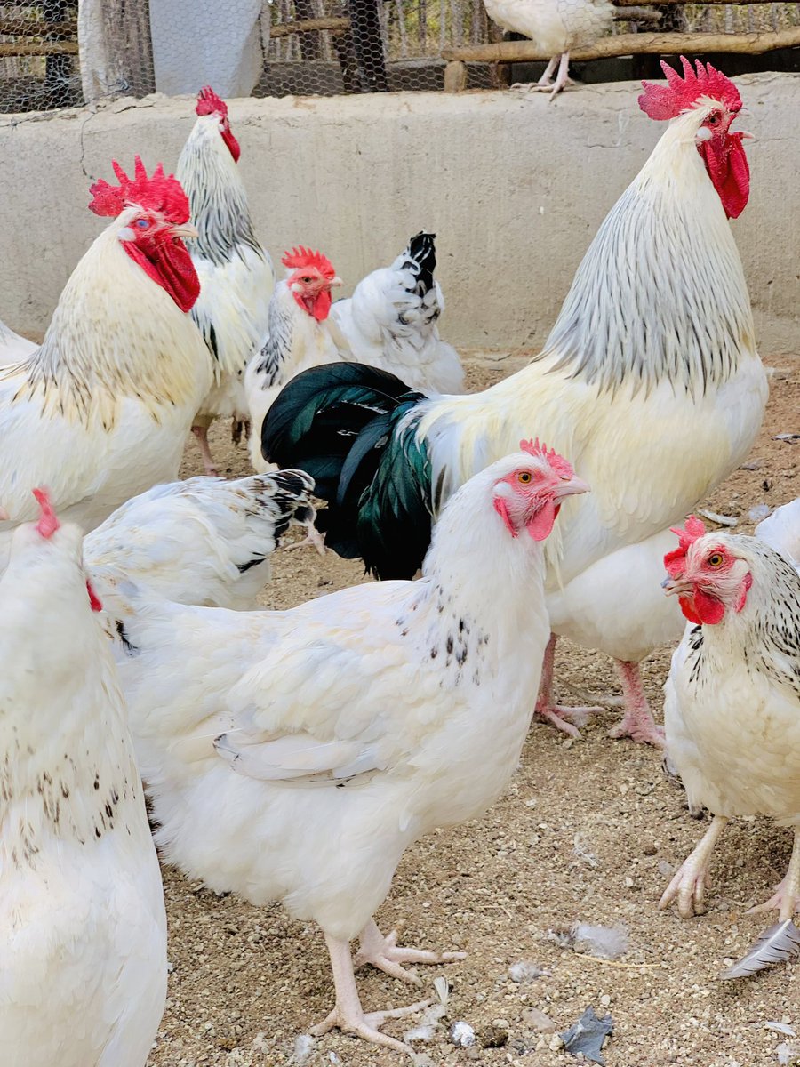 terrymap1's tweet image. Morning shots 📸📷 The hustle😊🙏🏿