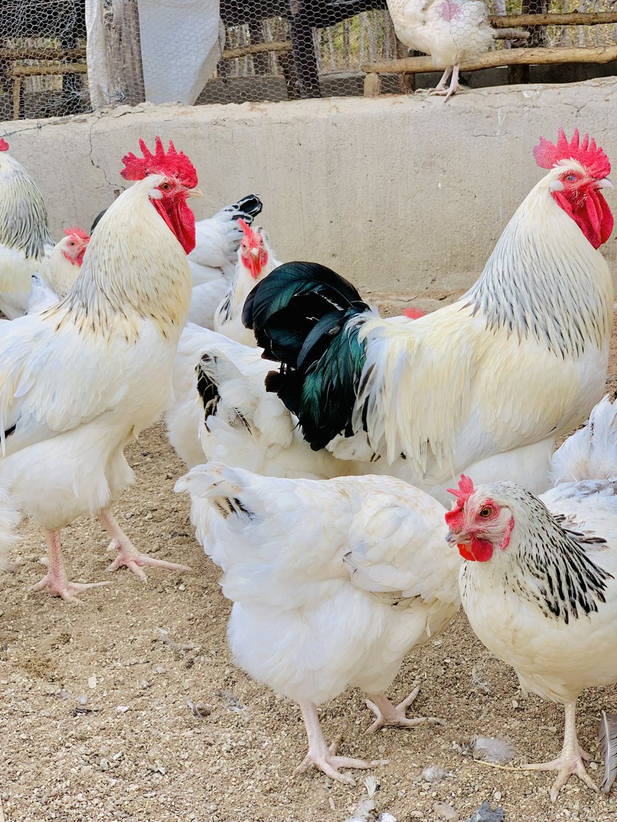 terrymap1's tweet image. Morning shots 📸📷 The hustle😊🙏🏿