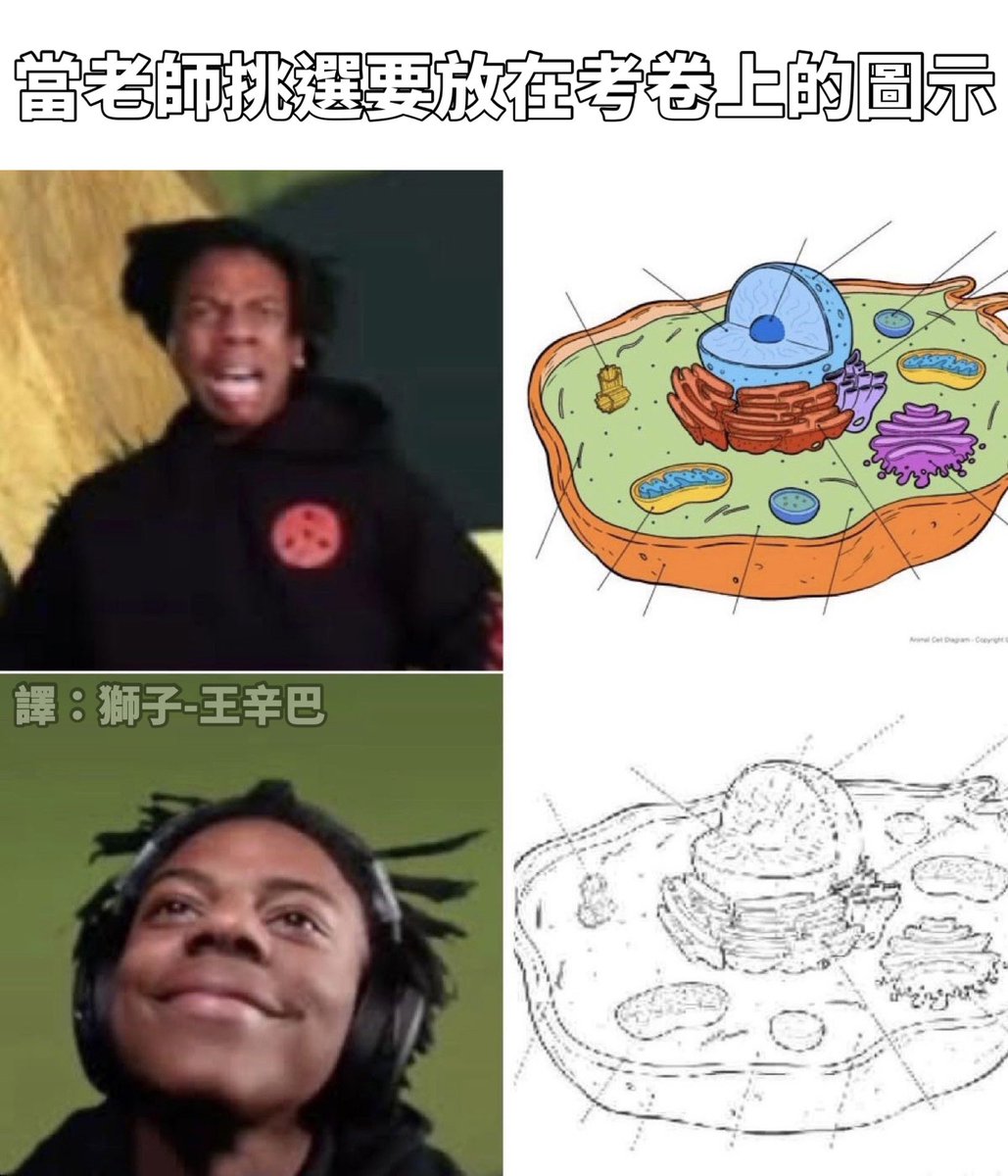 考卷圖示

Reddit：WinWP

#梗圖 #迷因 #有趣 #搞笑 #日常