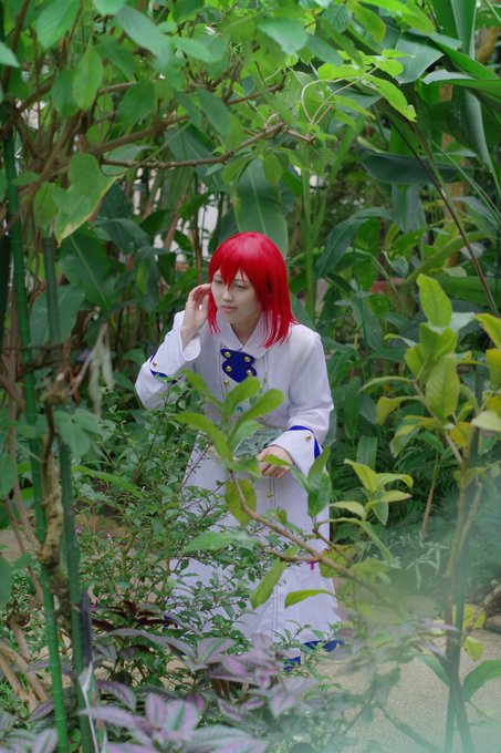 【Cosplay】赤髪の白雪姫/白雪photo→紫苑さん( ) 