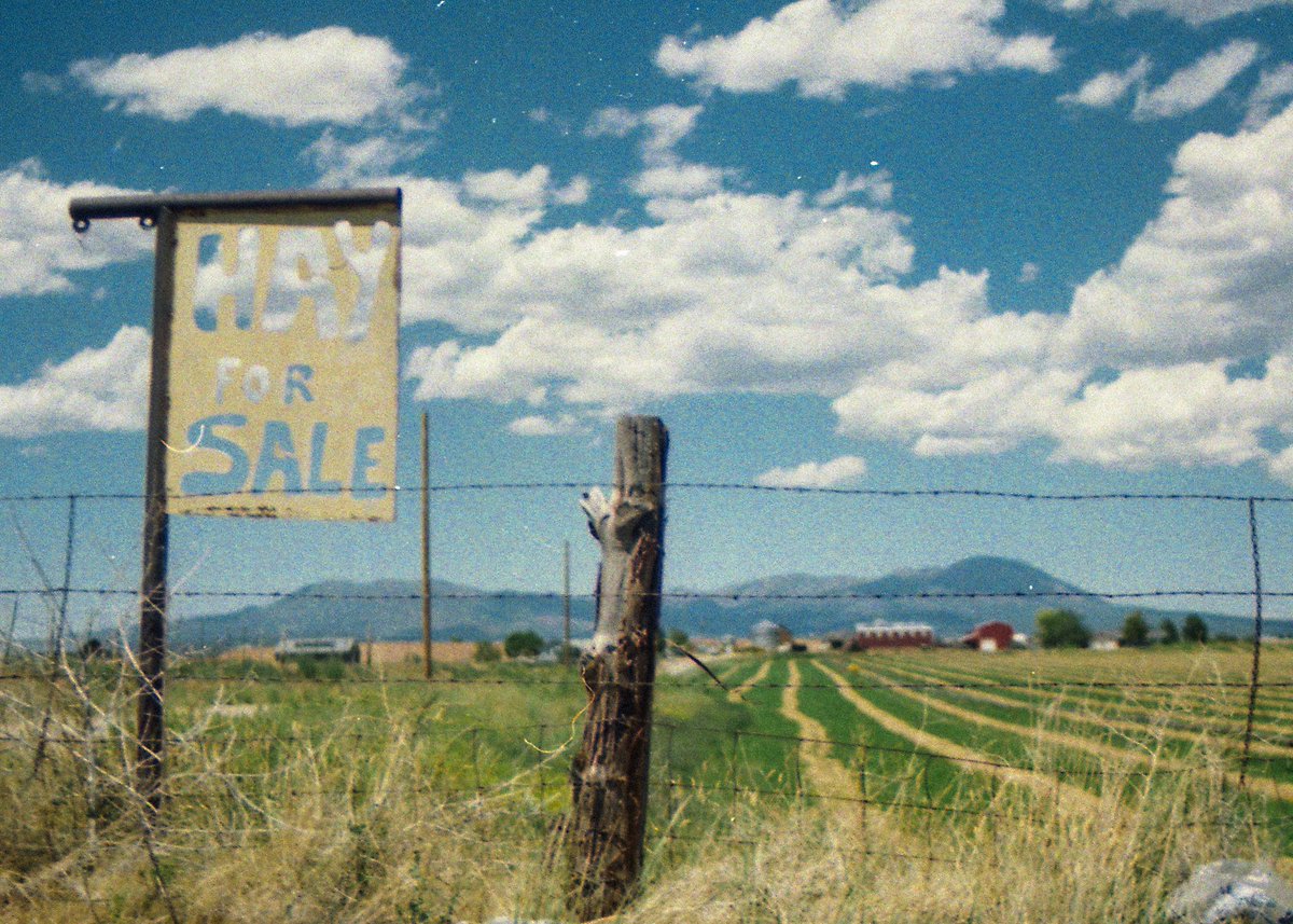 eamonsphotoss's tweet photo. landscapes on 35mm film https://t.co/1Uf0sw8XPj