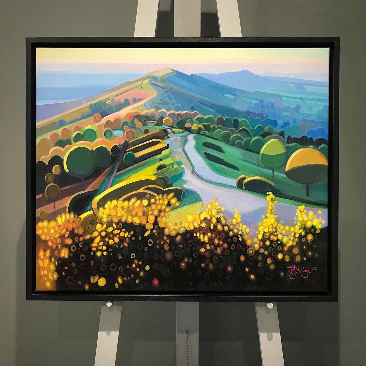 ‘Malvern Hills Gorse’ 20x24” oil on canvas. Get in touch for details. #malvernhills #malvern #malvernartist #malvernart #greatmalvern #malvernhillswalk #malvernhillshour #antonybridge #yellowgorse #gorse #gorsepainting #oilpainting #contemporarypainting  #worcestershire