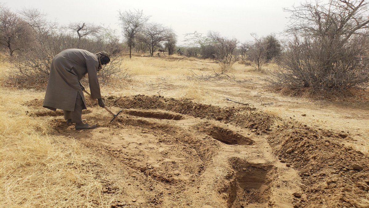 Djaounsede's tweet photo. Day 2,@USUNRome to #Niger: Meet Abou one of 1,100 ppl engaged in resilience building in #Kouraye #Zinder. They dig half-moons to restore land, help regenerate vegetation, produce more food &amp; reduce migration thx to support from @WFPNiger, @FAONiger, @IFADNiger, @USAIDSavesLives https://t.co/dM0Fw7wMdI