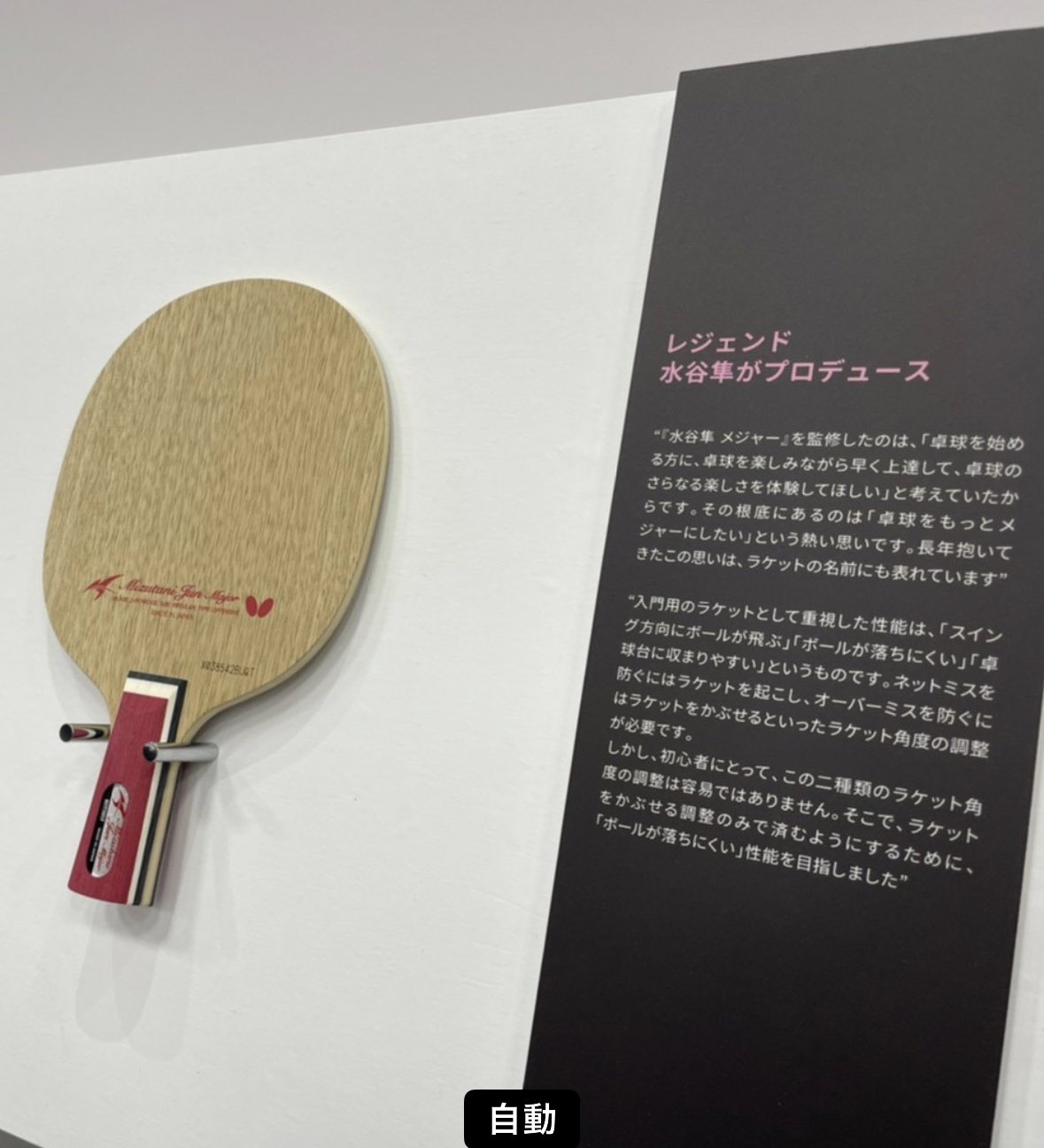 激レア】水谷隼選手 等身大 パネル butterfly 木下グループ www