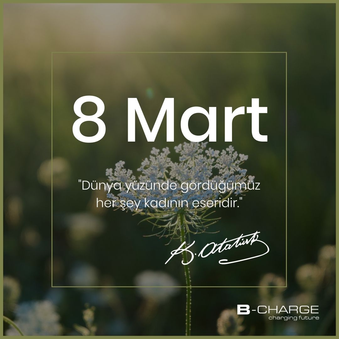 chargelabtr's tweet photo. 8 Mart Dünya Kadınlar Günü'nde, tüm kadınları kutluyoruz. Kadınların toplumsal ve ekonomik hayatta daha fazla yer almaları için elimizden geleni yapıyoruz ve yapmaya devam edeceğiz. #8Mart #dünyakadınlargünü #BCHARGE #BAKIRCI https://t.co/UZikyEQVVa