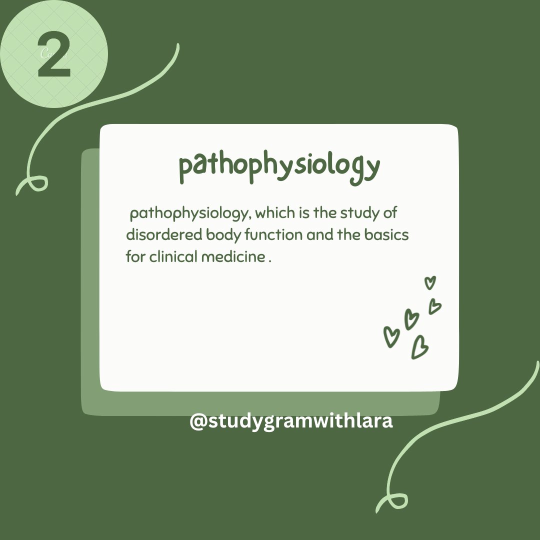 seeyouin_china's tweet image. studygram #studygrammer #studygrambr #studygramthailand #studygramcommunity #studygramindonesia #studygrambrasil #studygrampl #studygramchile #studygramarg #studygrampolska #studygramindo #studygrammexico #studygramespañol #studygramespañol #newstudygram #studygrammers