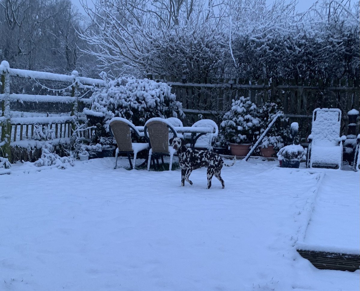 JuliaRLofts's tweet photo. @bbcweather wow! That's a lot of #snow in #Wadhurst #EastSussex https://t.co/B6DOUcY1Y2