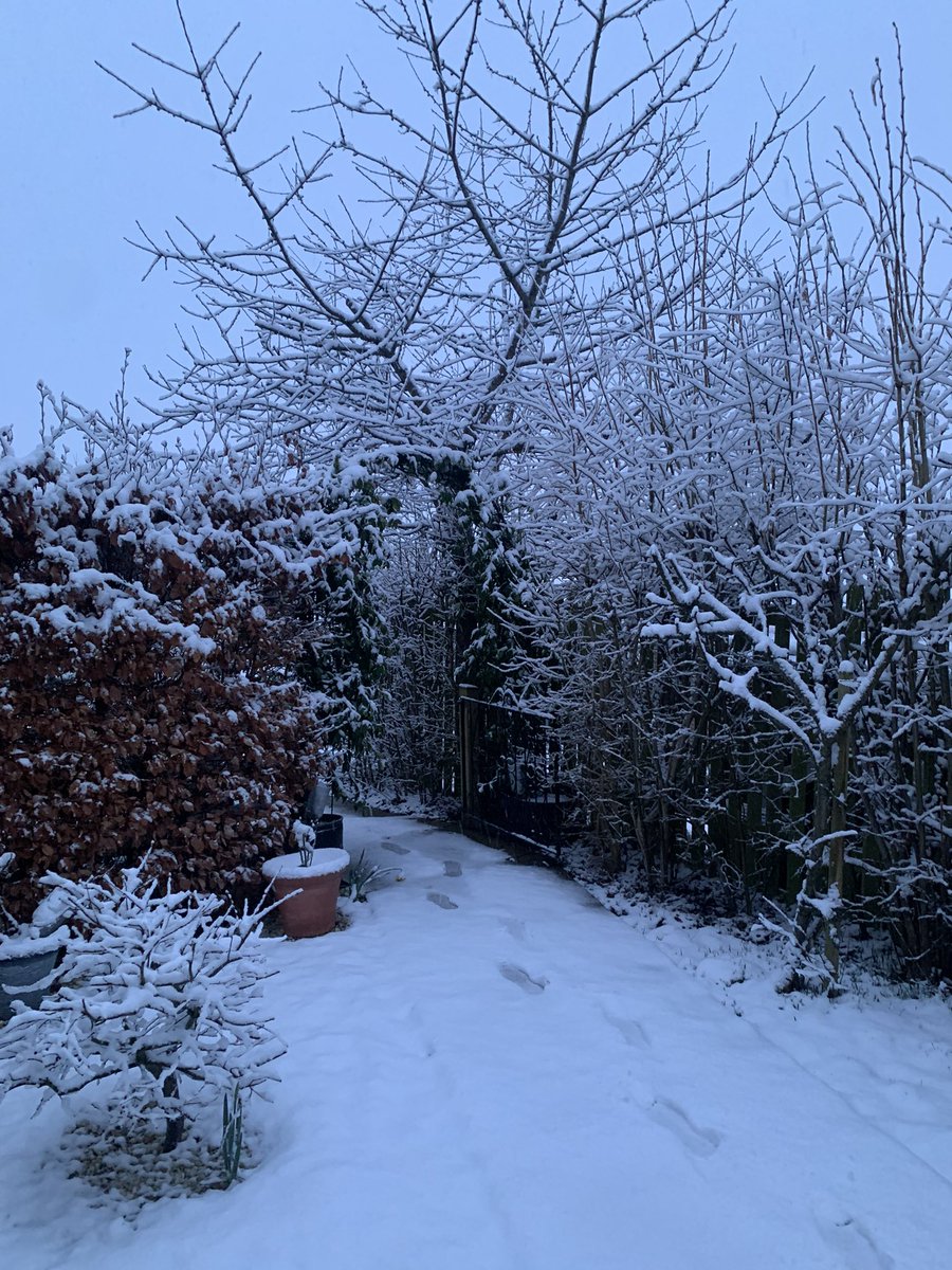 JuliaRLofts's tweet photo. @bbcweather wow! That's a lot of #snow in #Wadhurst #EastSussex https://t.co/B6DOUcY1Y2