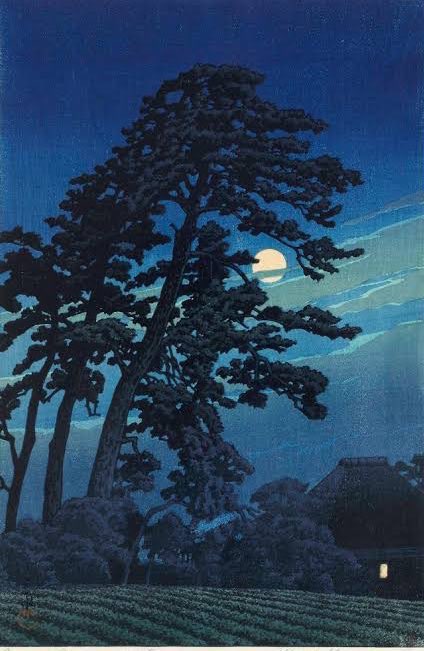 The image                  The inspiration