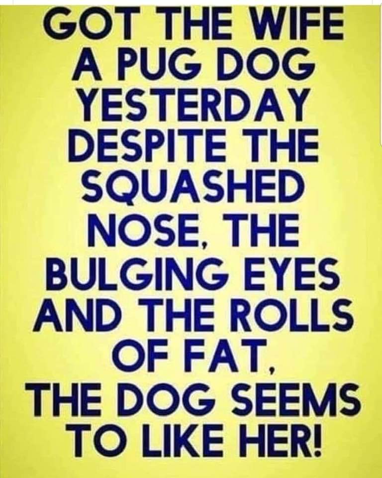 Gill EllisYoung NO PPV & 50 Special Discount on Twitter "RT