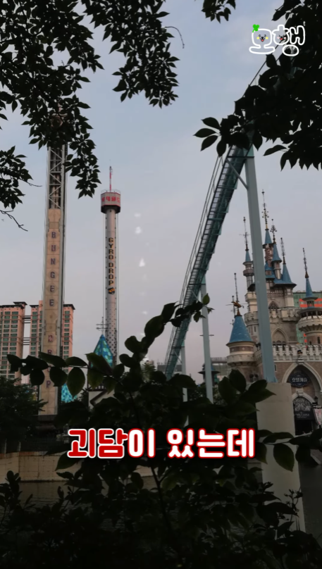 ZIPPINGofficial's tweet photo. [안 보고 모행?] 절대 혼자 타지 말아야 할 롯데월드 놀이기구😱😱

롯데월드의 괴담들 중에 뭐가 진짜이고 가짜인지 팩트 체크를 해봤어요!👻

#롯데월드 #롯데월드괴담 #괴담 #롯월 #lotteworld

롯데월드 ���담 보러 가기 ▶▶https://t.co/6pCnzFEYWu https://t.co/Jo43aRwylf