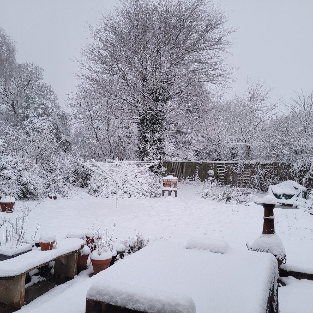 Interesting weather for March! Overnight snowfall.
Made sure yesterday that all my colonies had emergency fondant and were strapped tightly.
Love the silence from snowfall.