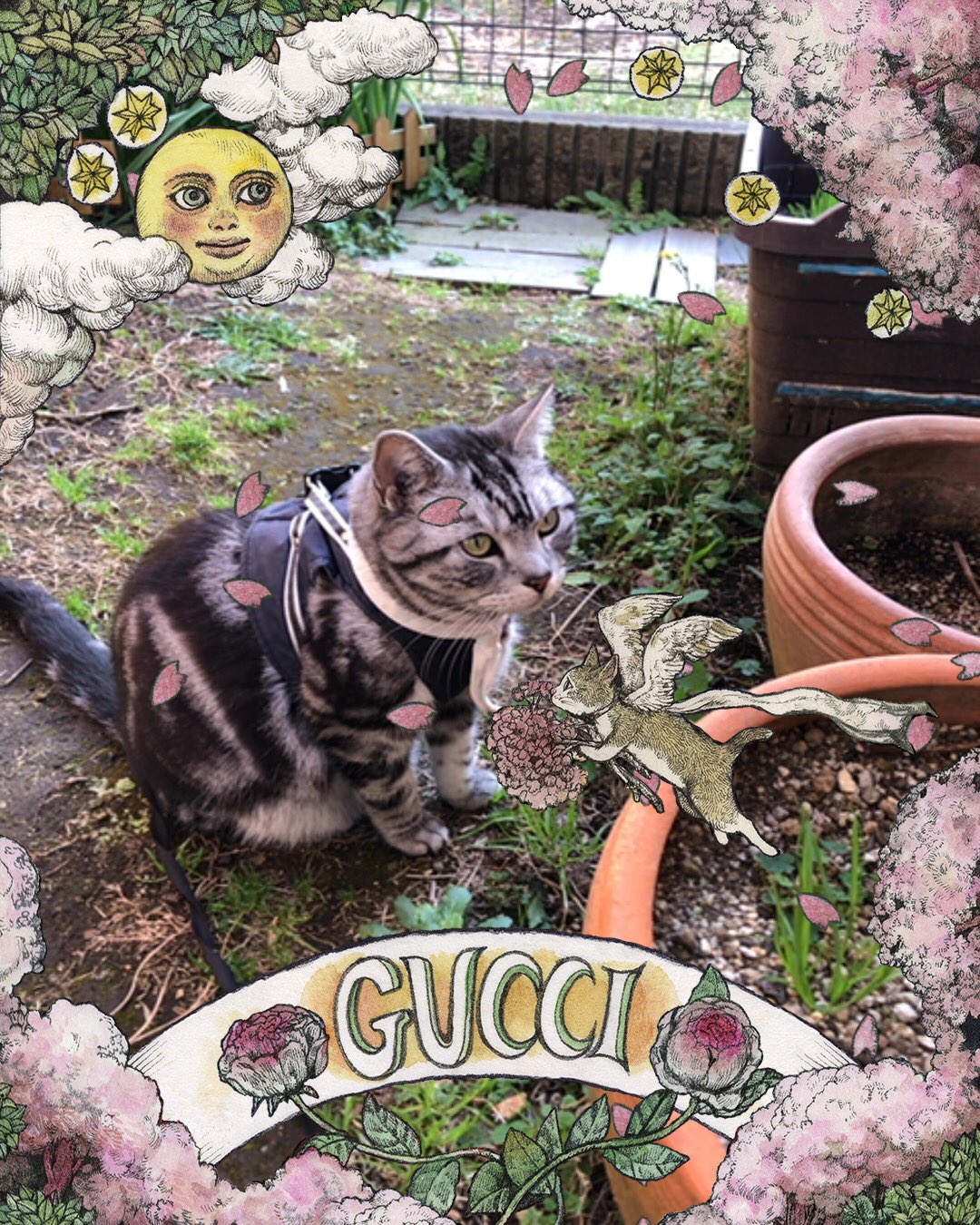 GucciLuckyDay - Search / X