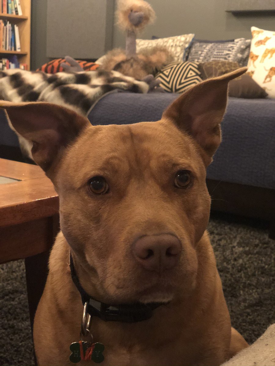 Matty S. Wilder tweet media