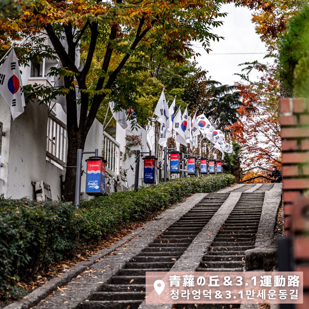 kto_tokyo's tweet photo. 『キム秘書はいったい、なぜ？』
#大邱 ロケ地まとめ📝

📍アプ山展望台
劇中のデートシーンで注目を集めたスポット
📍青蘿の丘＆3.1運動路
ハート形の手の影を作り、二人が写真を撮り合ったシーンで登場
📍西門夜市
辛い鶏モミジを食べさせ合いながらデートした場所

#韓国旅行 #韓国観光公社 https://t.co/YIlFHJuTWV