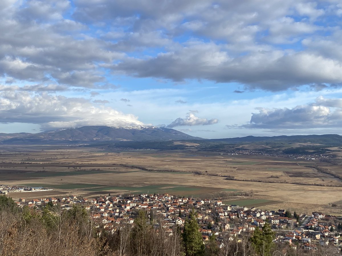 AMMCFC's tweet image. 