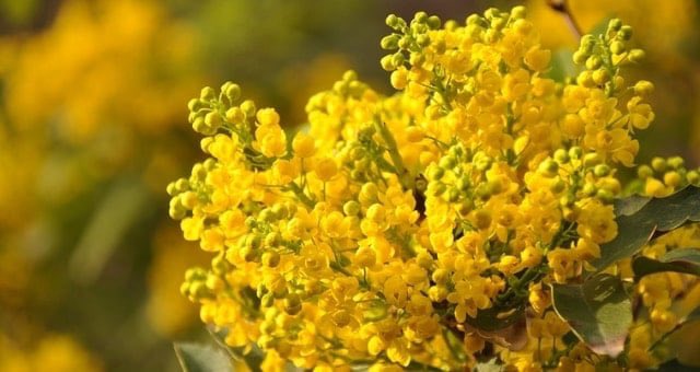 Auguri a tutte le donne non solo oggi ma ogni giorno dell’anno 🙂 🌼🌼🌼  #8Marzo #festadelladonna #donna #donne #8march #8marzo2023