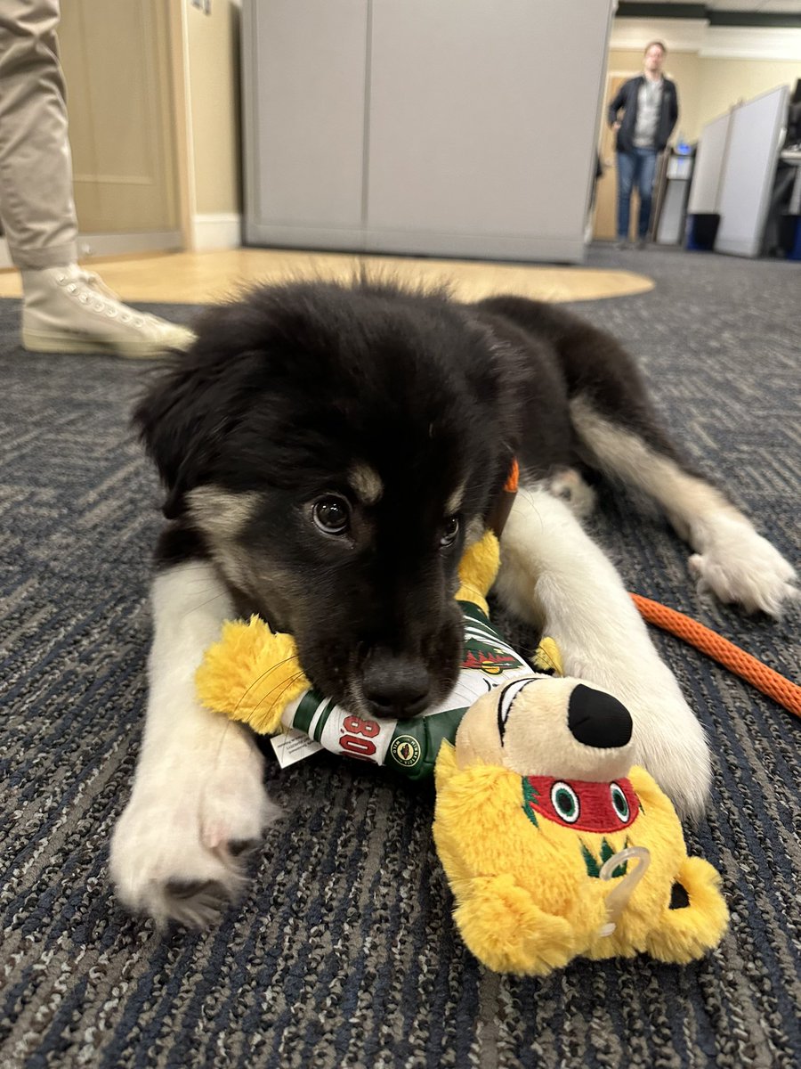 DevonReagan3's tweet image. Don’t text I’m playing with Herbie