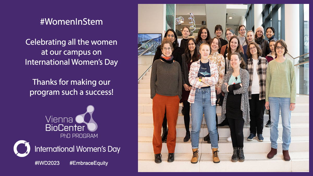 It’s International Women’s Day, we’re proud to have so many women in our PhD program. Check out the female group leaders offering a position in our open call
bit.ly/3YYvA38
<a href="/IMPvienna/">IMP</a> <a href="/IMBA_Vienna/">IMBA imbavienna.bsky.social</a> <a href="/gmivienna/">GMI Vienna gmivienna.bsky.social</a> <a href="/MaxPerutzLabs/">Max Perutz Labs Vienna</a> <a href="/univienna/">Universität Wien</a> <a href="/MedUni_Wien/">MedUni Wien</a> #EmbraceEquity #IWD2023