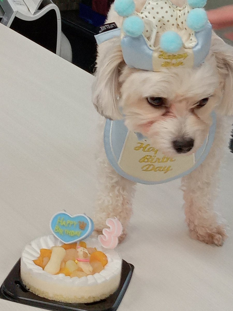 oakMisawa's tweet photo. Birthday cake! https://t.co/9ozDqyZQ5U