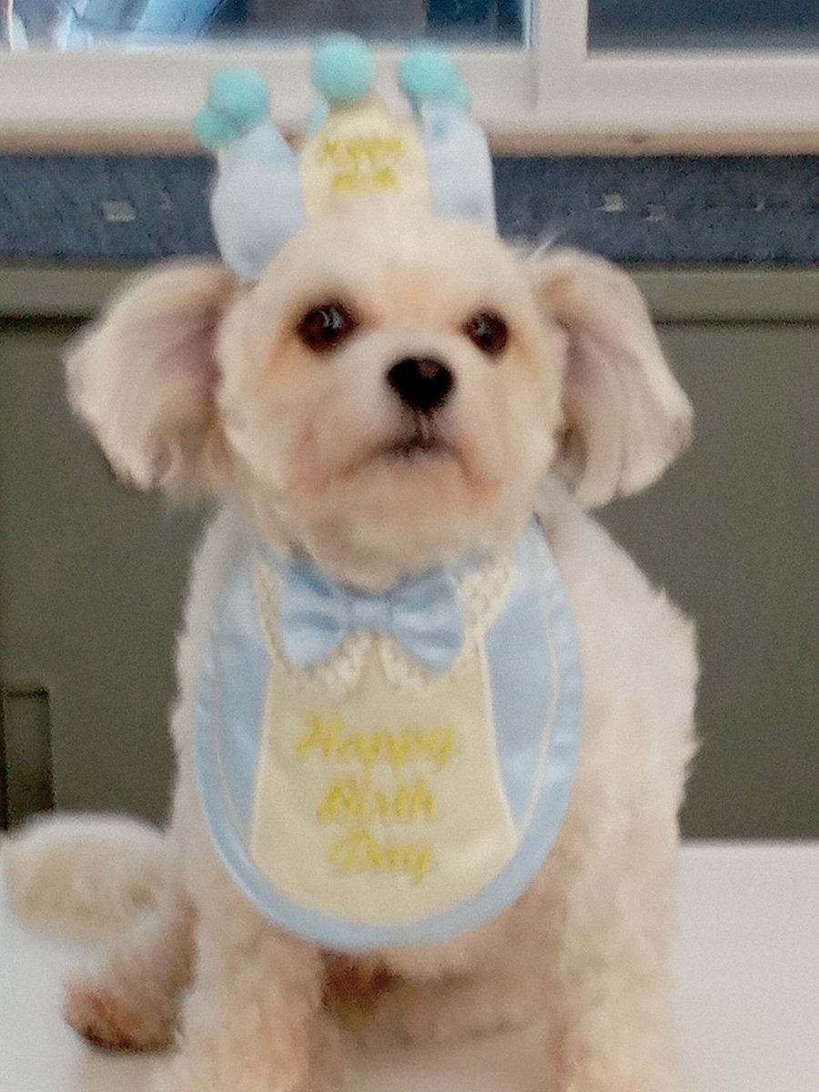 oakMisawa's tweet photo. Birthday cake! https://t.co/9ozDqyZQ5U