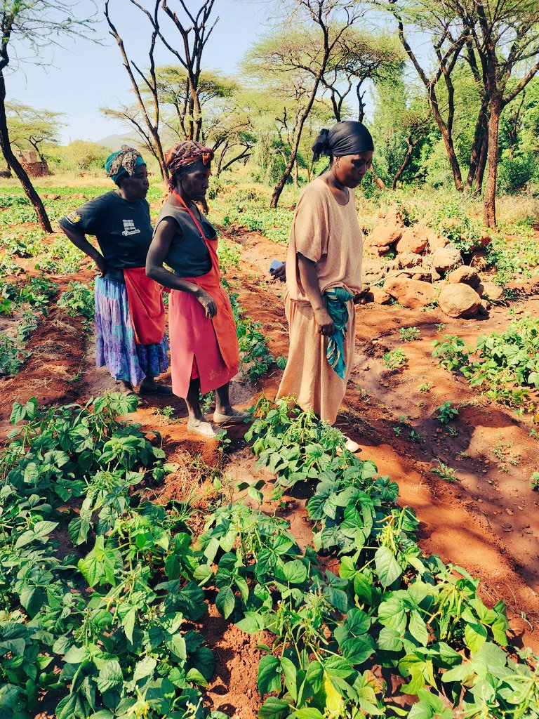 assangombe48's tweet photo. Today, on International Women's Day, we celebrate women in #FoodSystems in Africa. From farmers to chefs, innovators to activists, women are driving progress towards a sustainable, equitable &amp; just #system. Let's continue to support &amp; recognize them #IWD2023 #WomenInFoodSystems https://t.co/C8CY2lEY4b