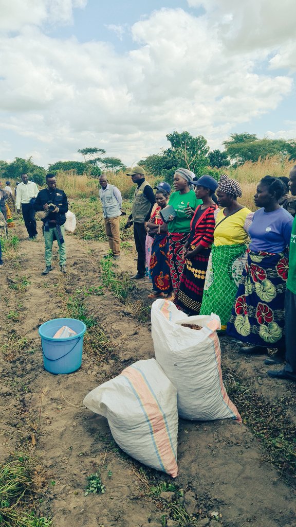 assangombe48's tweet photo. Today, on International Women's Day, we celebrate women in #FoodSystems in Africa. From farmers to chefs, innovators to activists, women are driving progress towards a sustainable, equitable &amp; just #system. Let's continue to support &amp; recognize them #IWD2023 #WomenInFoodSystems https://t.co/C8CY2lEY4b
