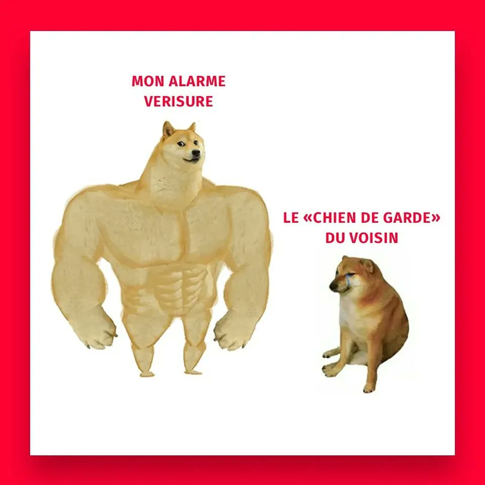 Yann Boutruche, Le Mouton À 5 Pattes tweet media