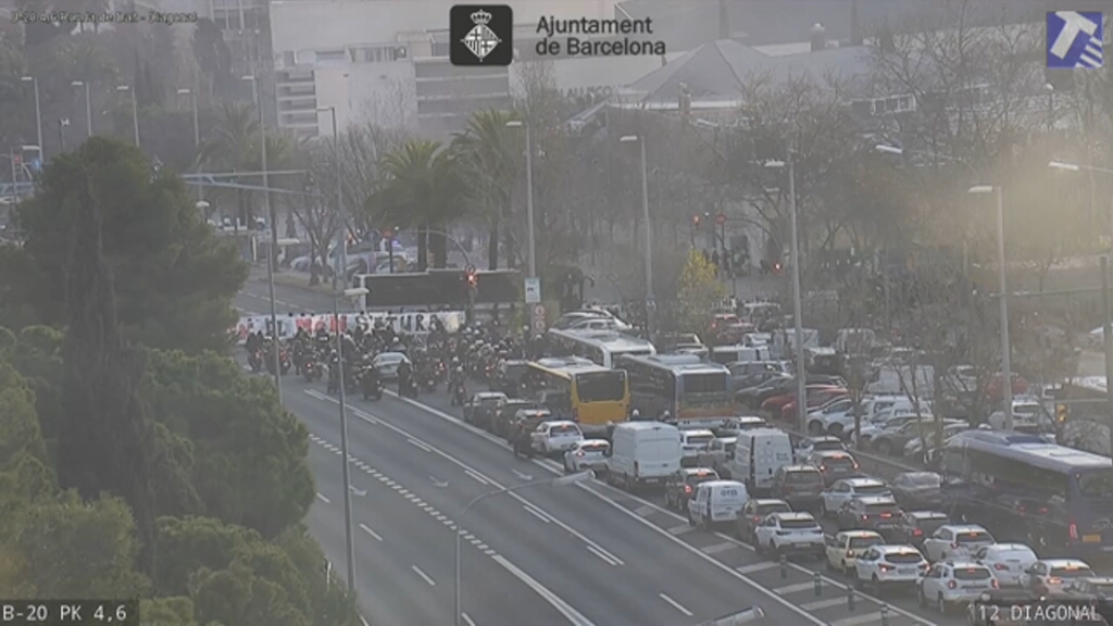 3CatInfo tweet media