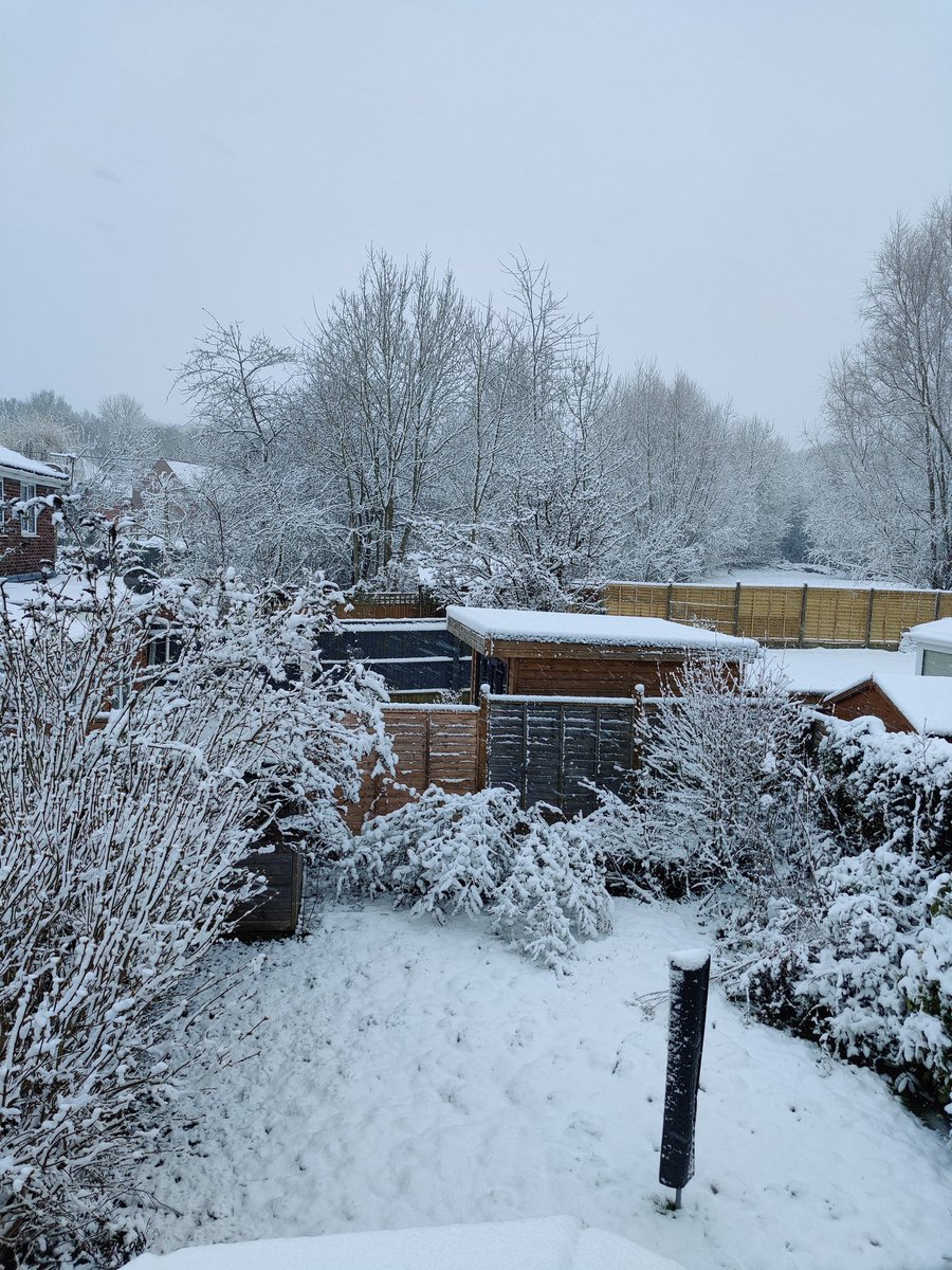 Obligatory 'Ite Snowed' picture