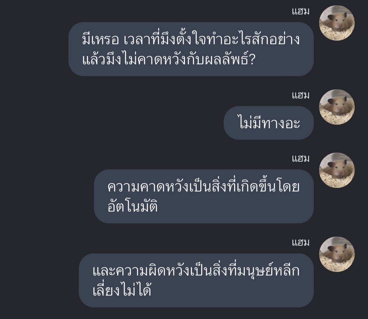 takemybear 🐶 tweet media