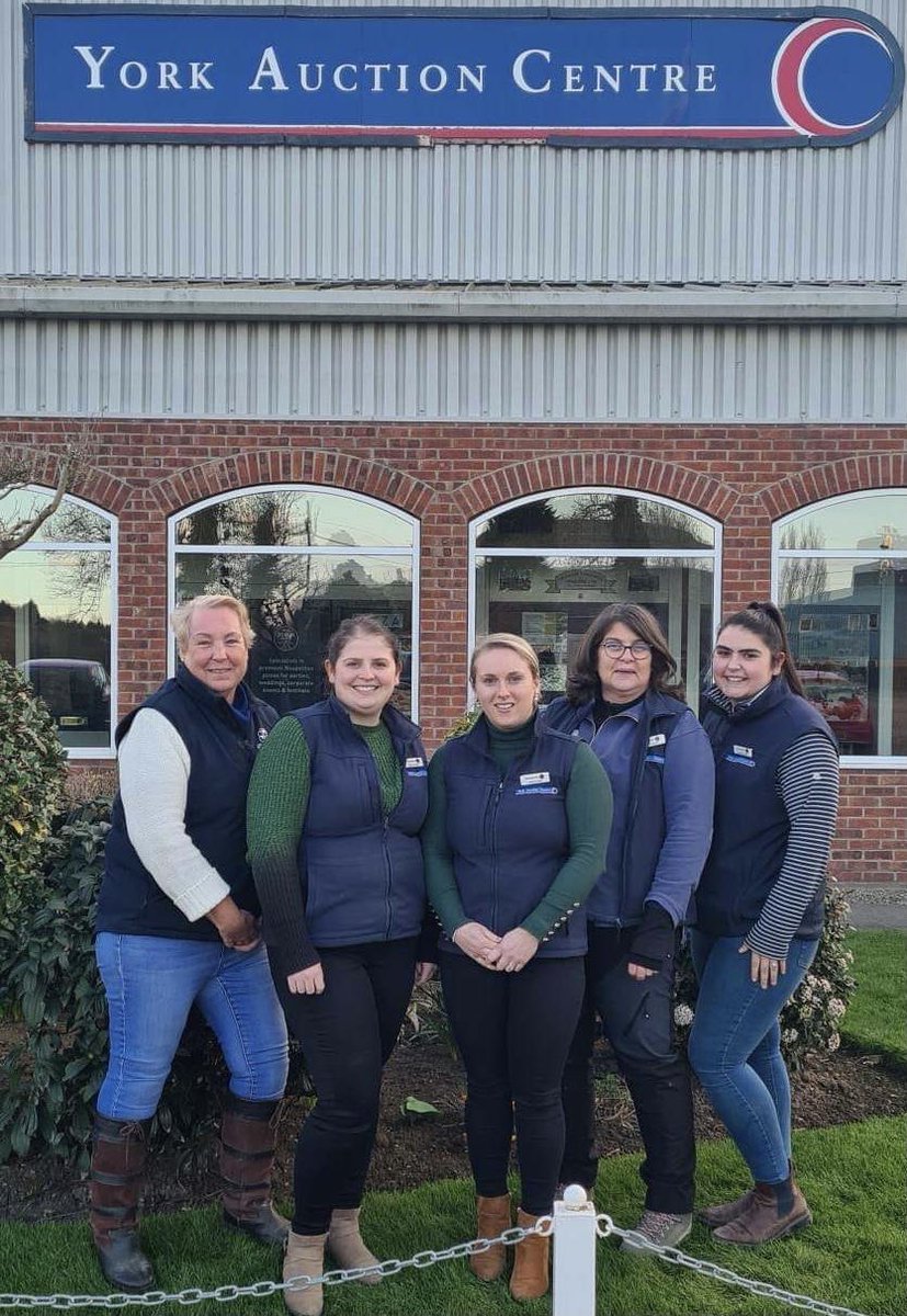 York Auction Centre tweet media