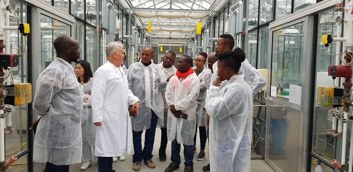 Samar Sheat, Ph.D.🌿 tweet media