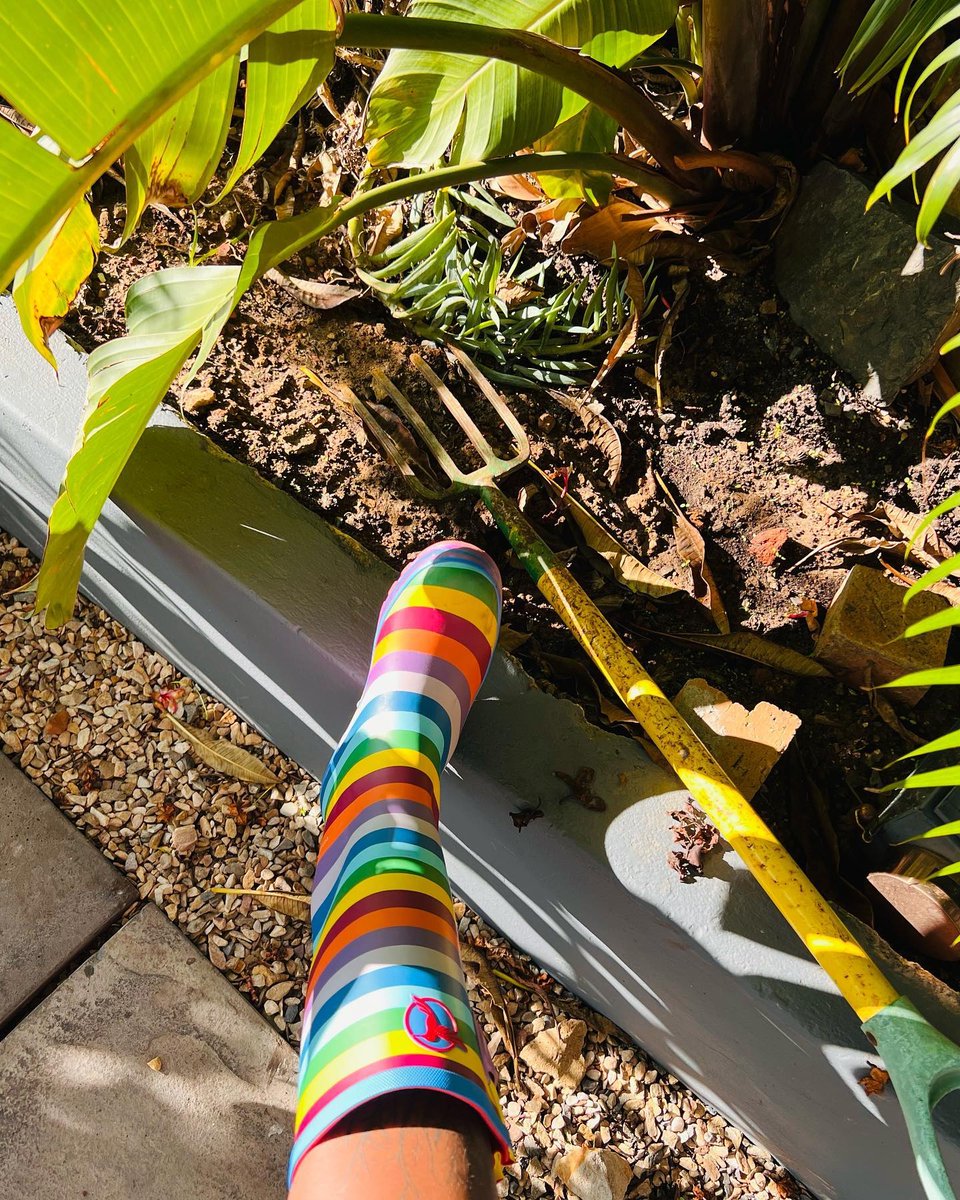 evercreatures's tweet image. Wake up 🤸🏿‍♀️
Kick ass🏋🏿‍♀️
Spread love and positive vibes 💚💛🧡💓💜💙❤️🌈🦋

#repost 📸 @perry_tyukala

#rainbowwellies #rainbow #spring #wellies #wellingtons #evercreatures #footwear #rainbowfootwear #weddingwellies #wellingtonboots #outdoorstyle #outdoorshot #wellyshot