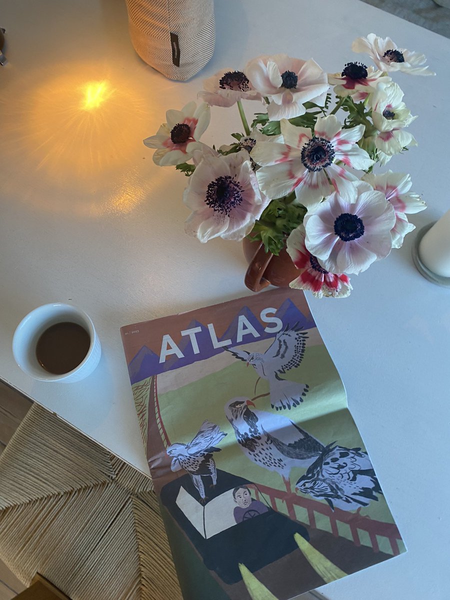 VardarSara's tweet image. Stolt af at skrive for @AtlasMag, hvor halvelden af dem, som har bidraget til vores første udgivelse i 2023, er kvinder! #dkmedier #repræsentation #kampdag