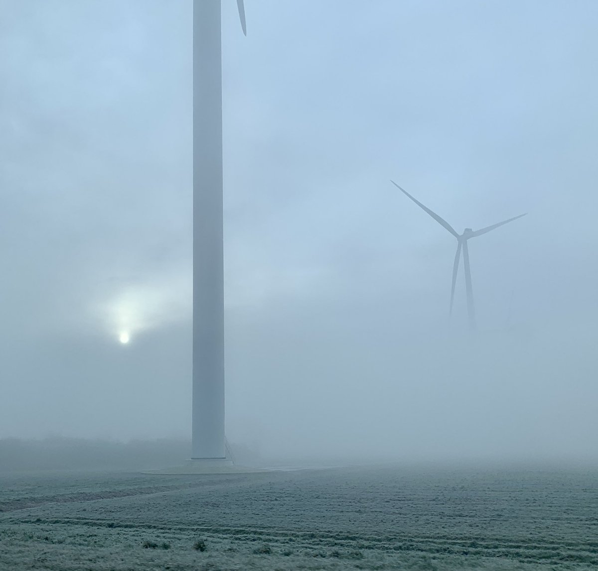 Mist en zon in Flevoland